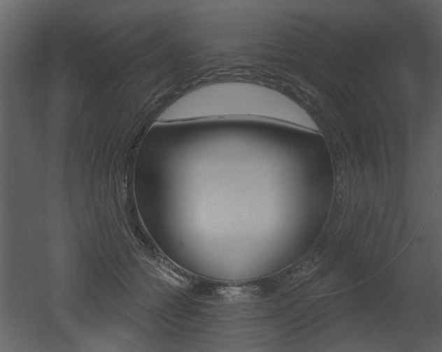 X0000052960558200507080859