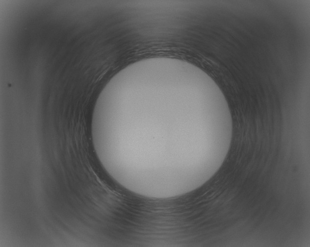 X0000052960560200507080859