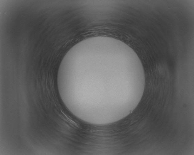 X0000052960562200507080859