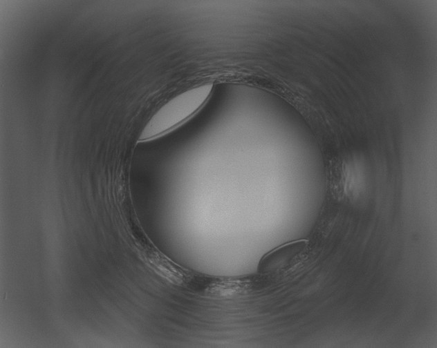 X0000052960563200507080859
