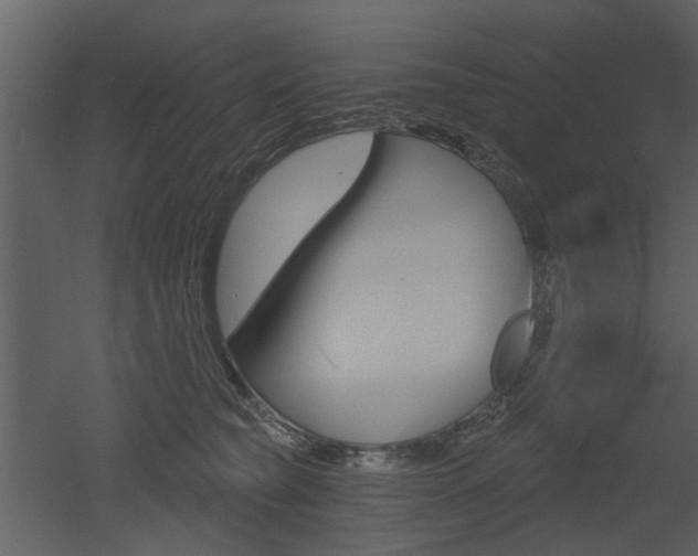 X0000052960565200507080859