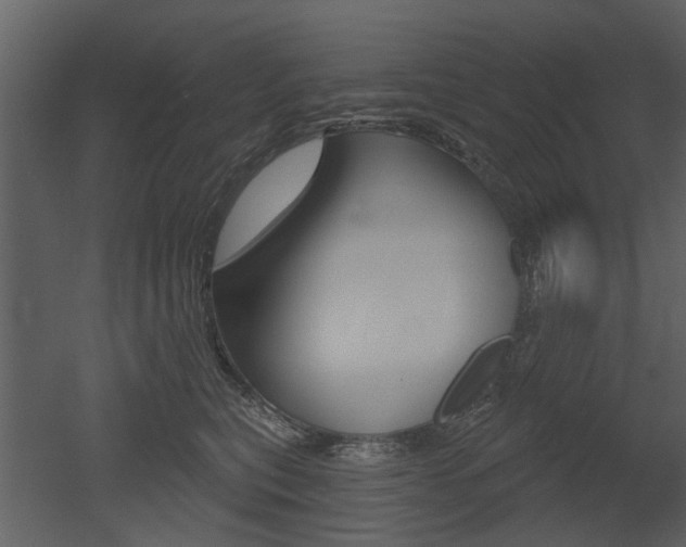 X0000052960567200507080859