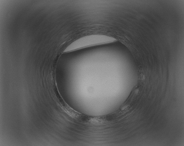 X0000052960568200507080859