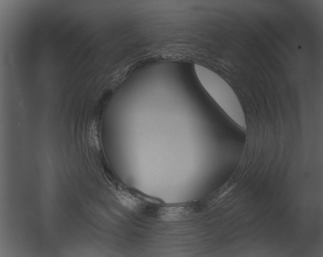 X0000052960575200507080859