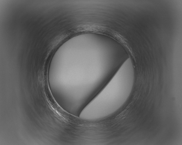 X0000052960578200507080858