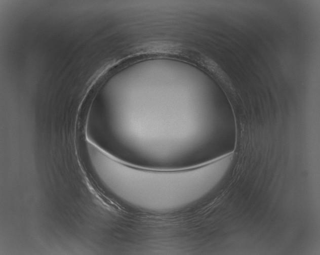 X0000052960580200507080858
