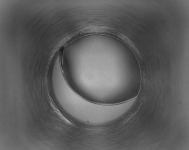 X0000052960581200507080858
