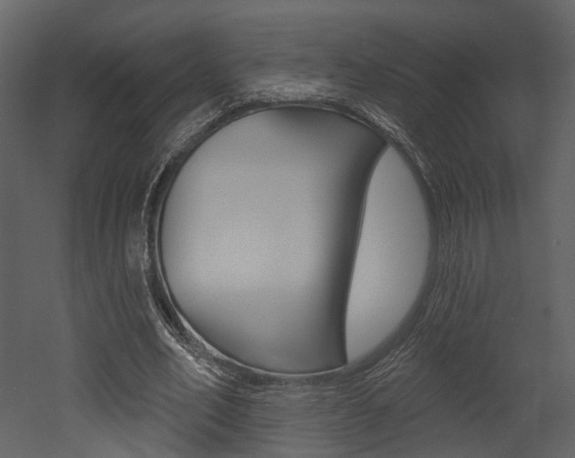 X0000052960582200507080858