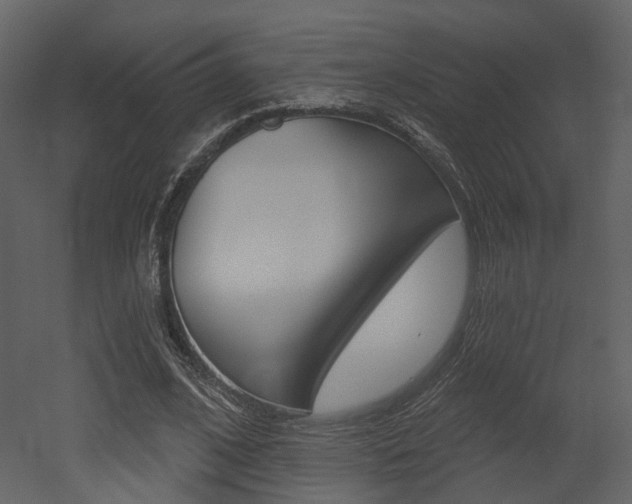 X0000052960584200507080858