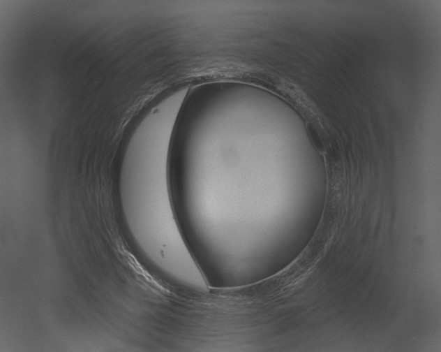 X0000052960585200507080858