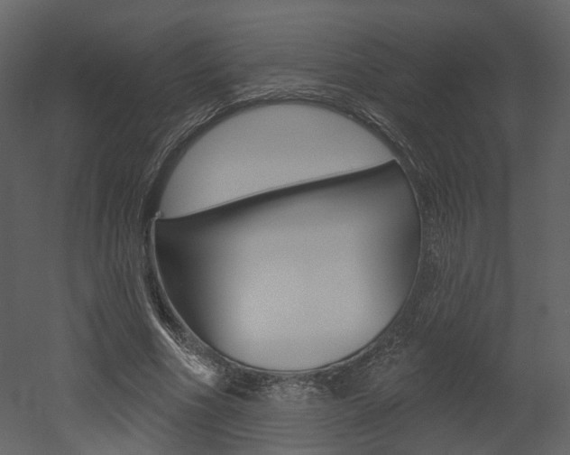X0000052960586200507080858