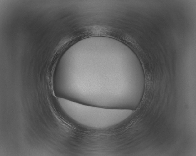 X0000052960587200507080858