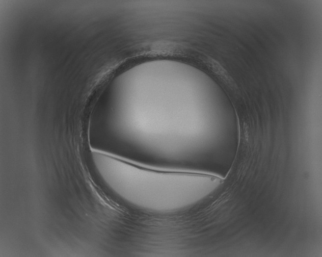X0000052960588200507080858