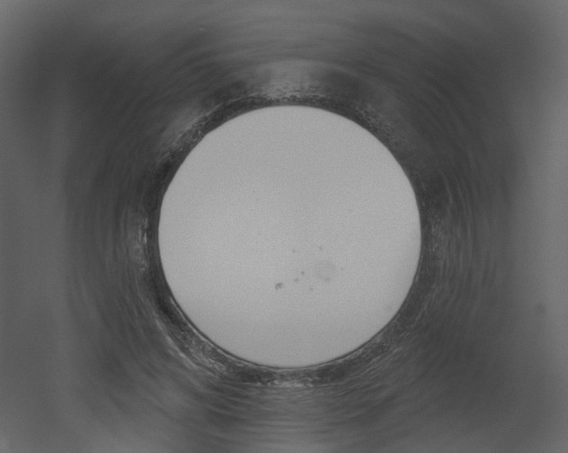 X0000052960592200507080858