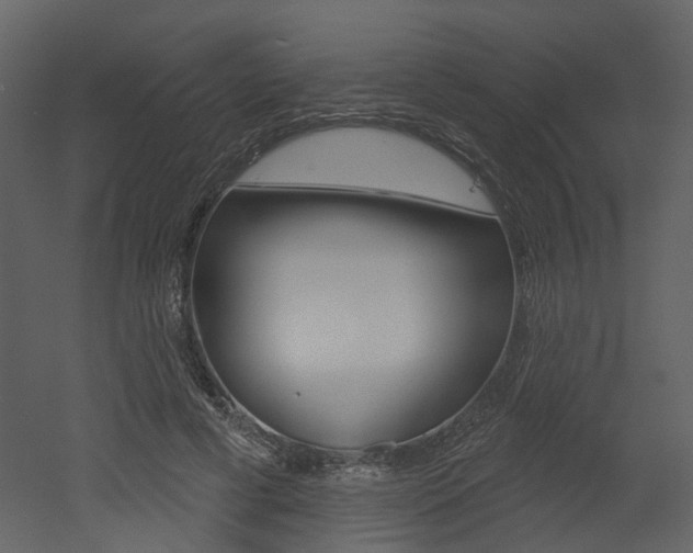 X0000052960593200507080858
