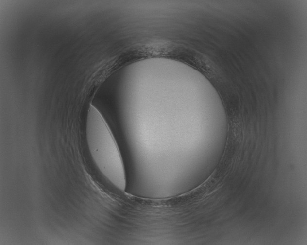 X0000052960594200507080858