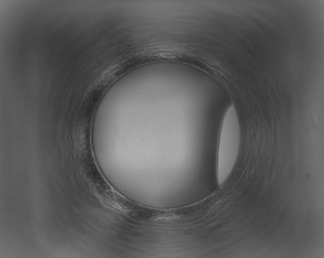 X0000052960595200507080858