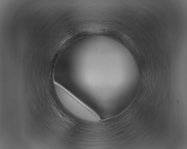 X0000052960596200507080858