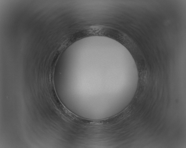 X0000052960602200507080858