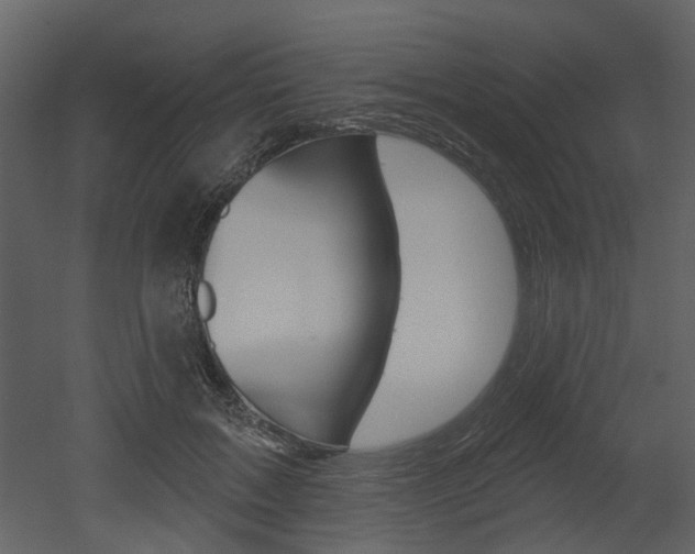 X0000052960603200507080858