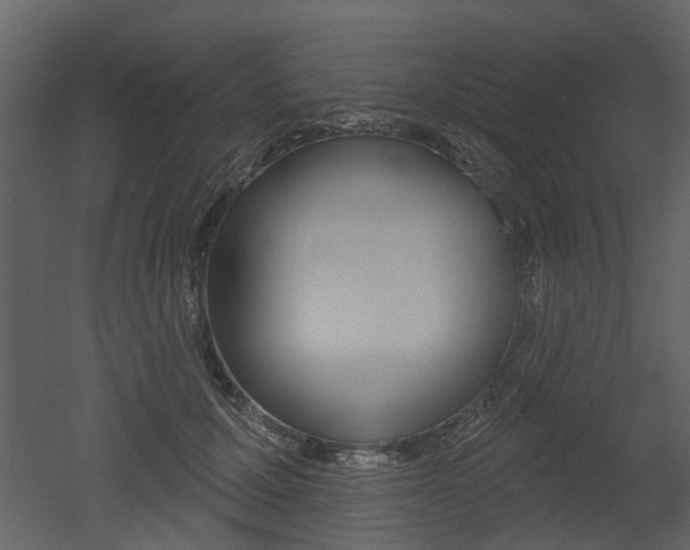X0000052960607200507080858