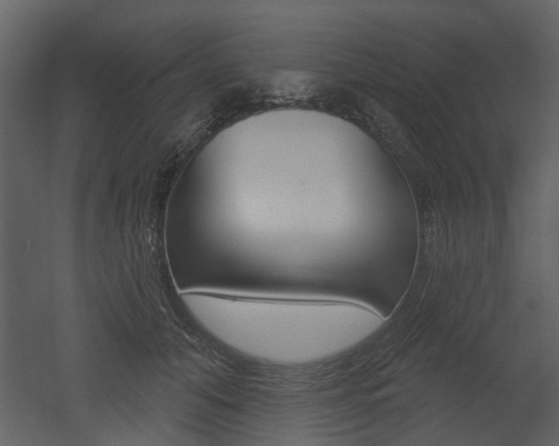 X0000052960608200507080858