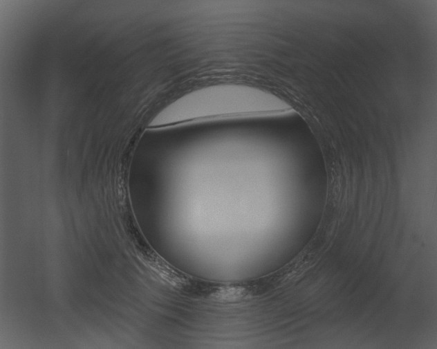 X0000052960609200507080858