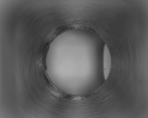 X0000052960611200507080858