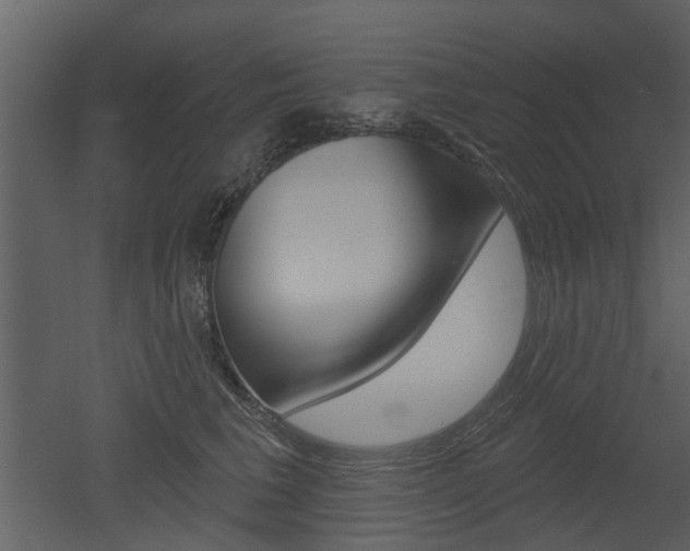 X0000052960613200507080857