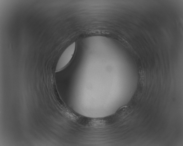 X0000052960617200507080857