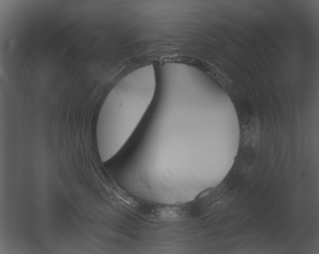 X0000052960618200507080857