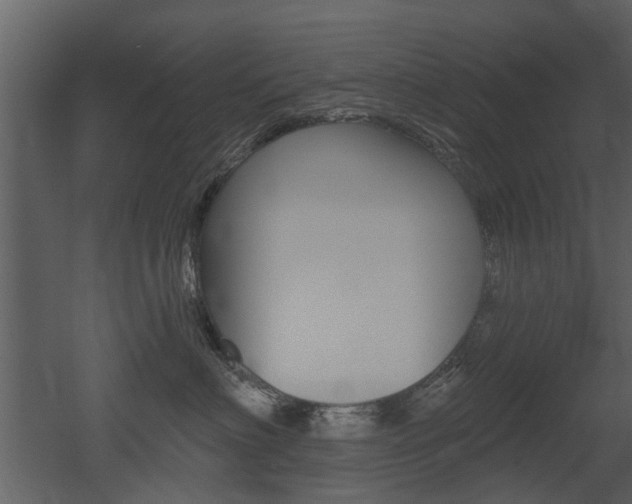 X0000052960622200507080857
