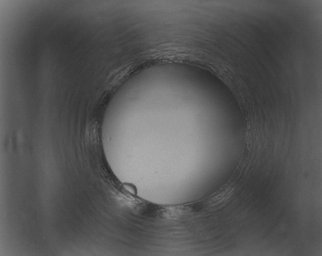 X0000052960623200507080857