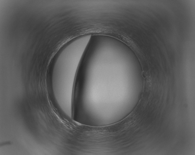 X0000052960626200507080856