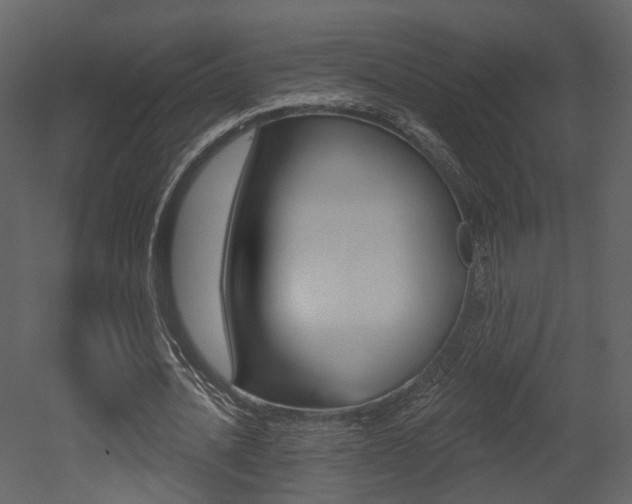 X0000052960628200507080857