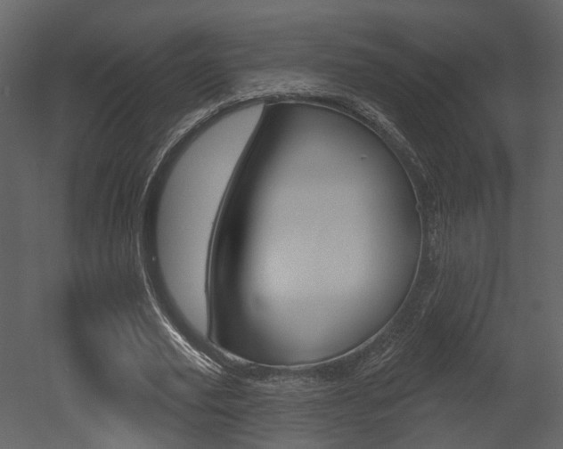 X0000052960629200507080857
