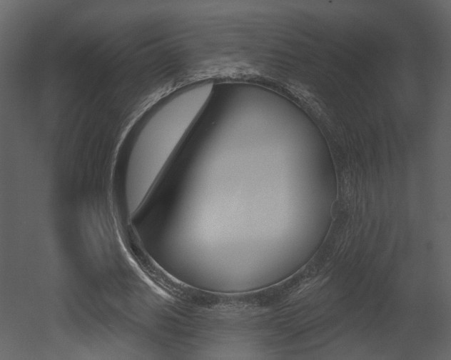 X0000052960630200507080857