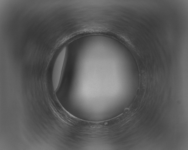 X0000052960631200507080857