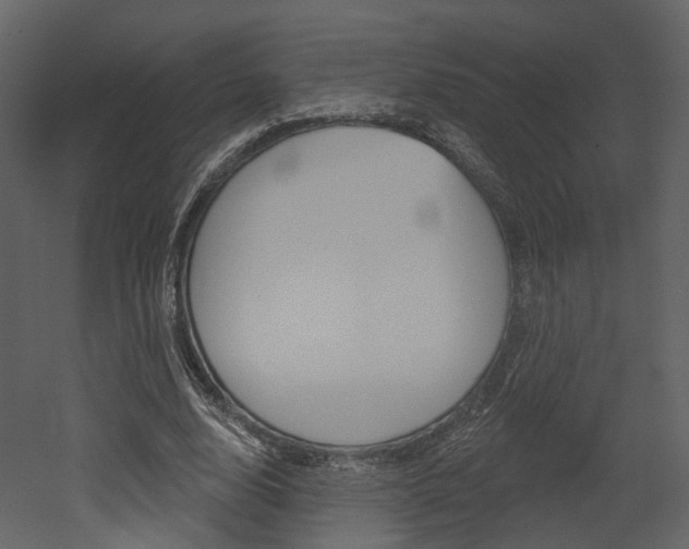 X0000052960632200507080857