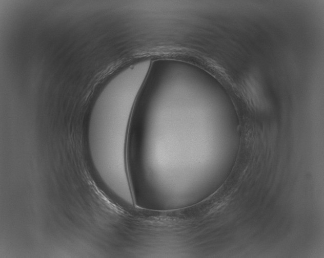 X0000052960633200507080857
