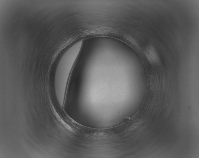 X0000052960634200507080857