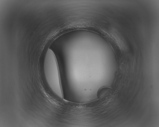 X0000052960635200507080857