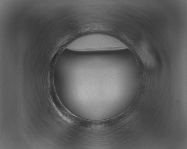 X0000052960638200507080857