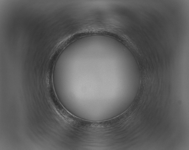 X0000052960640200507080857
