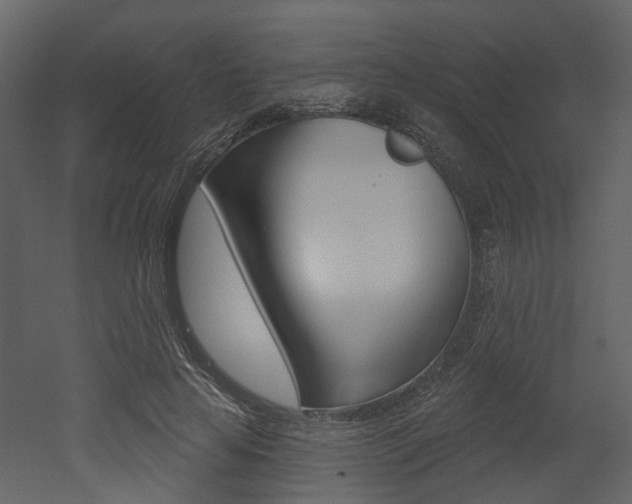 X0000052960641200507080857