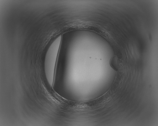X0000052960642200507080857