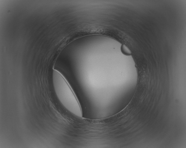 X0000052960643200507080857