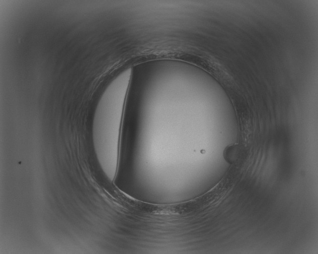 X0000052960644200507080857