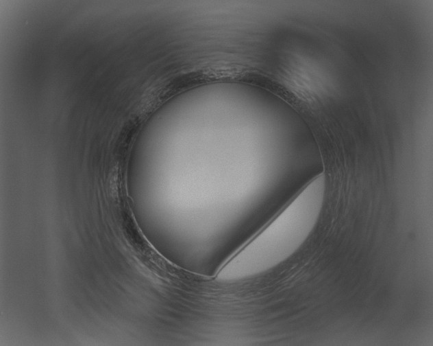 X0000052960647200507080857