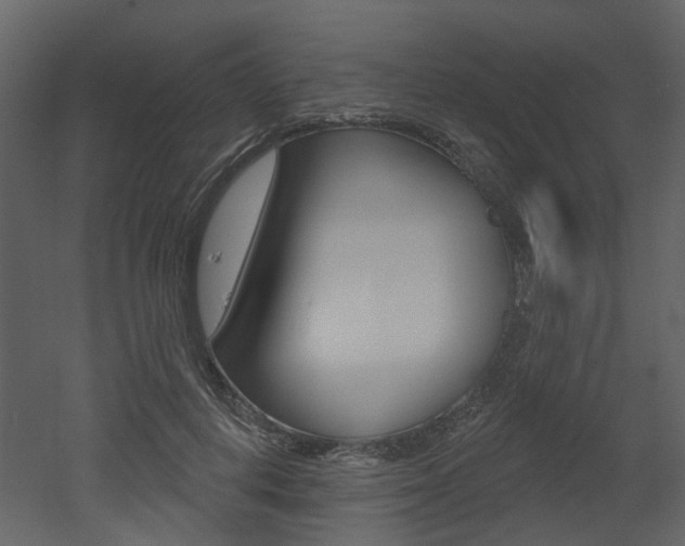 X0000052960648200507080857